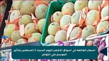أسعار الفاكهة في أسواق الأقصر اليوم السبت 2 أغسطس وتأثير الموسم على التوافر